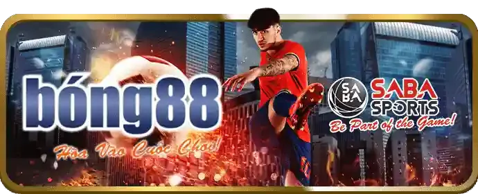 An toàn, minh bạch và công bằng